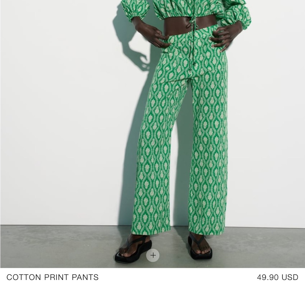 Zara pants